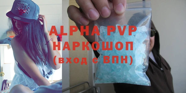 скорость Ельня