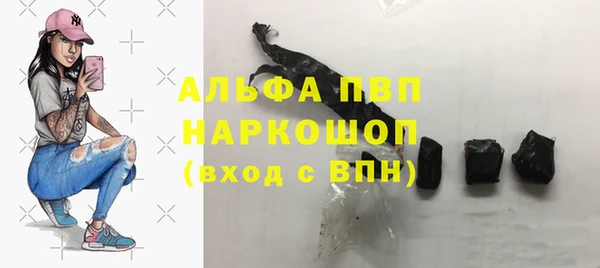 скорость Ельня