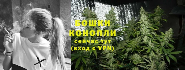 твердый Елабуга