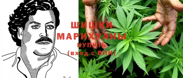 скорость Ельня