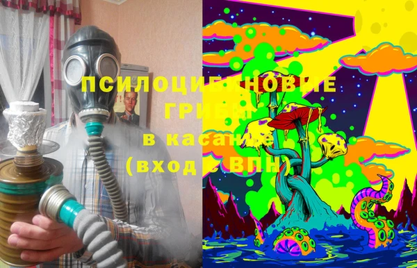 мет Елизово