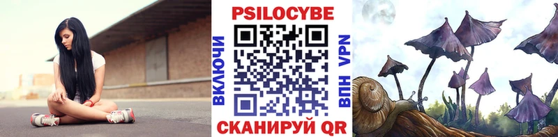 где найти   Строитель  Галлюциногенные грибы мицелий 